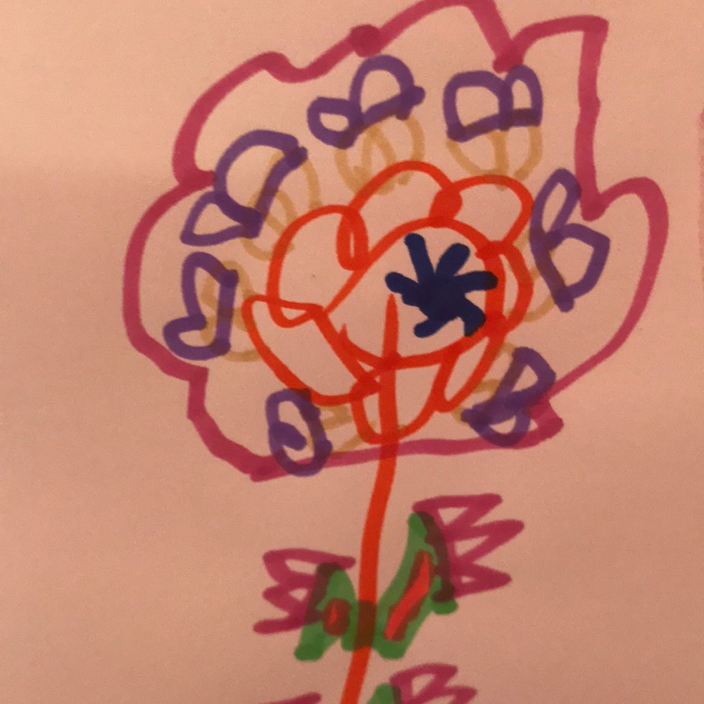 Meet your Posher, Lily